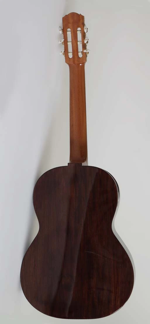 GUITARRA ACUSTICA DXE 2025 5