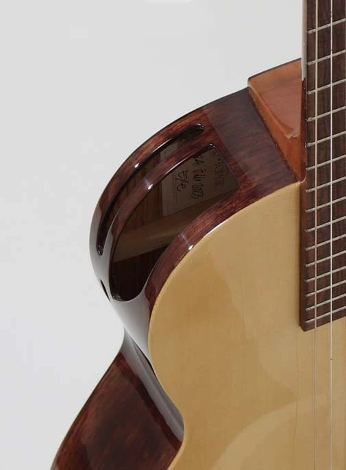 GUITARRA ACUSTICA DXE 2025 6