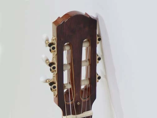 GUITARRA ACUSTICA DXE 2025 7