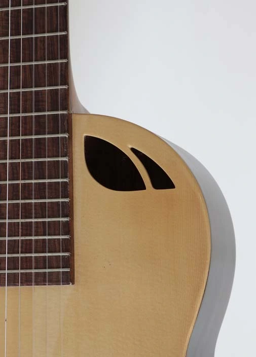 GUITARRA ACUSTICA DXE 2025 8