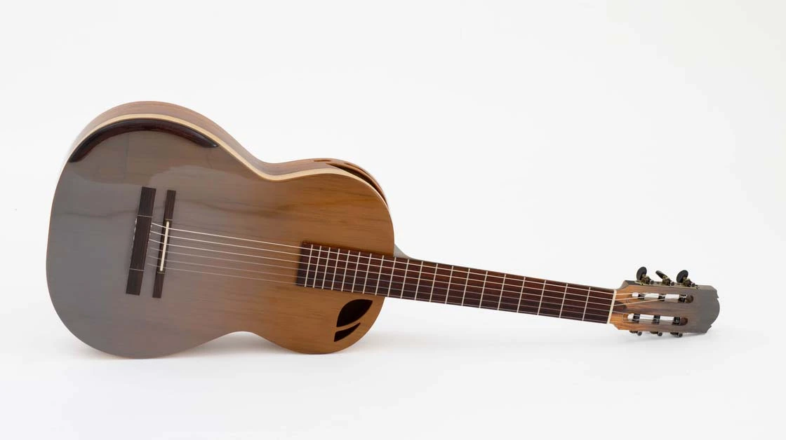 GUITARRA ACUSTICA EXC 2025 3