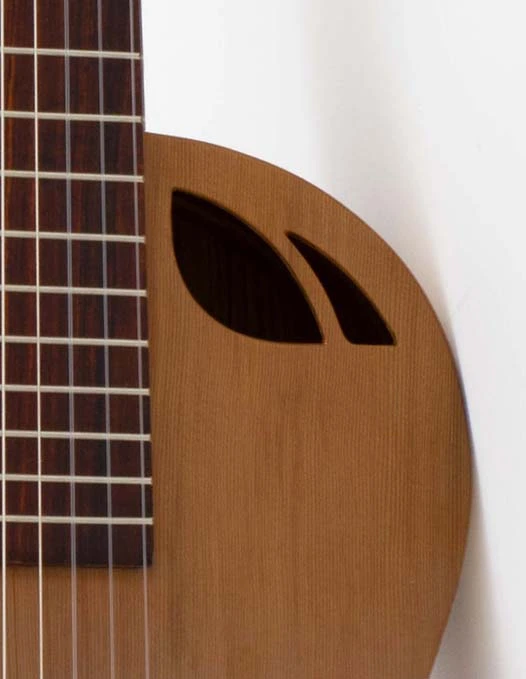 GUITARRA ACUSTICA EXC 2025 6