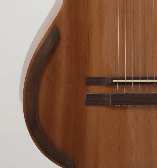 GUITARRA ACUSTICA NX 2025 4