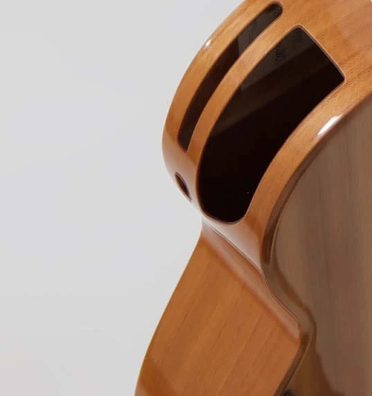 GUITARRA ACUSTICA NX 2025 5