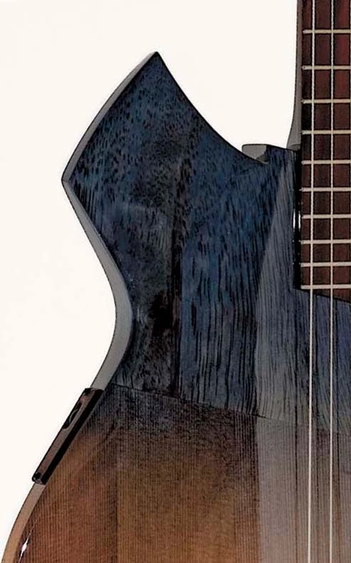 GUITARRA ARCHTOP NS 2025 5